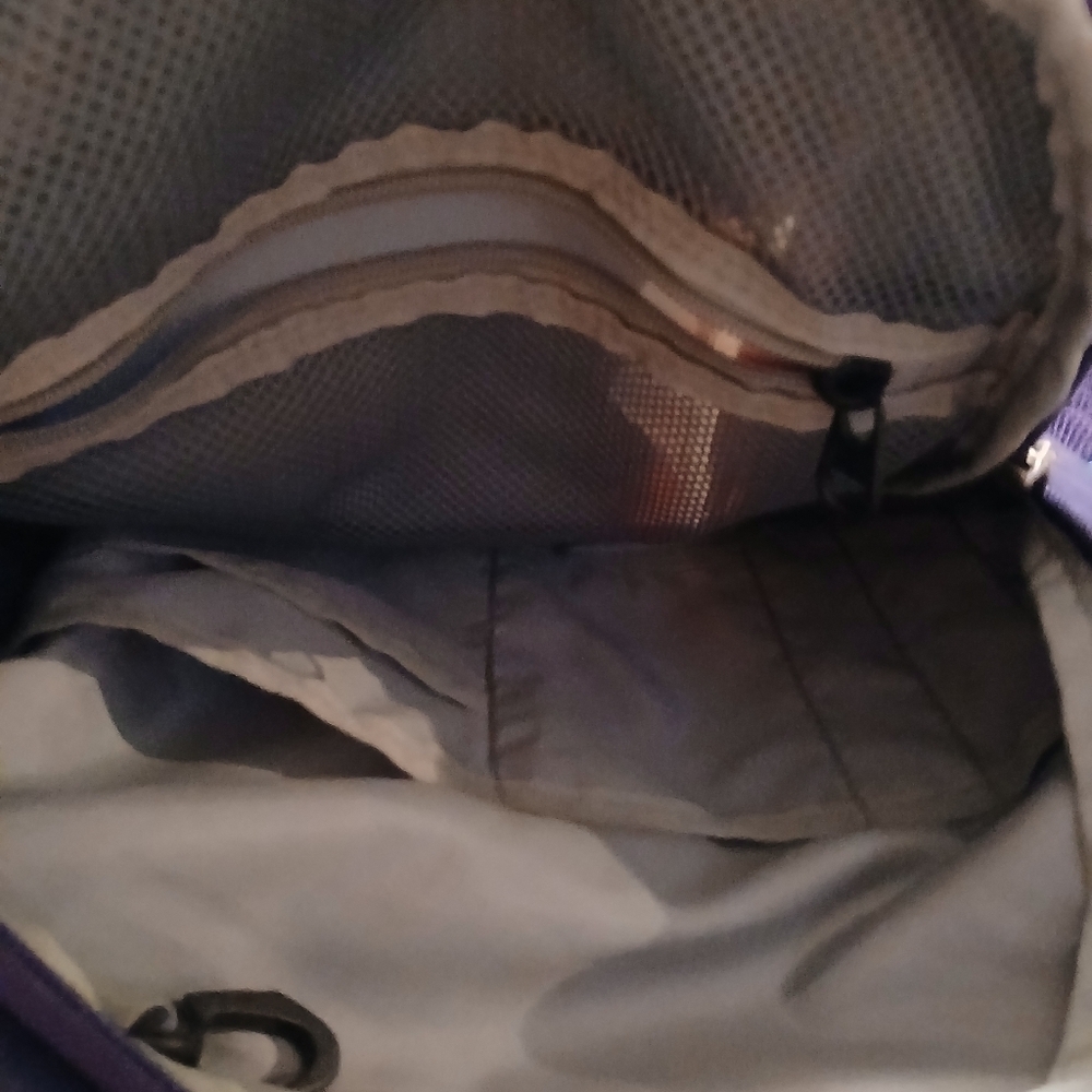Magellan Outdoors Blue and Purple Backpack with Structured Design. Very Nice!! - Picture 12 of 12